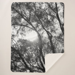 Manta Sherpa ESTILO DE ARTE Y DISEÑO Sherpa Blanket