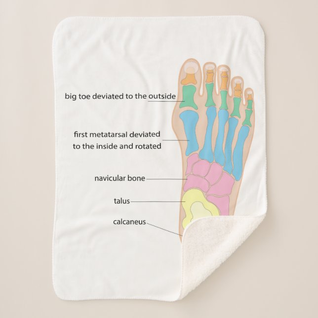 Manta Sherpa Estructura del pie humano (Anverso)