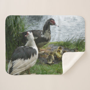 Manta Sherpa Familia del pato de Muscovy