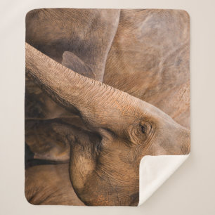 Manta Sherpa Familia Elefante: Vida silvestre majestuosa