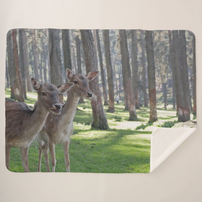 MANTA SHERPA FAWNS (Anverso (horizontal))