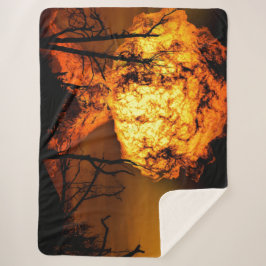 Manta Sherpa FIREBALL de la APOCALYSPE