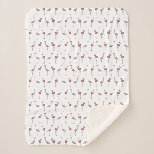 Manta Sherpa Flamingo Frenzy Sherpa Blanket (elija Color) (Anverso)