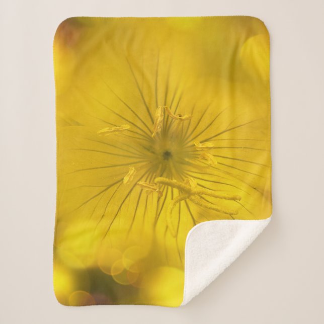 Manta Sherpa Flor de boquilla amarilla Sherpa Blanket (Anverso)
