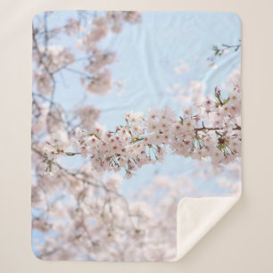 Manta Sherpa Flor de cerezo blanco bajo cielo azul claro en la