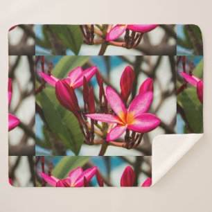 Manta Sherpa Florecimiento de plumeria de fondo de flores exóti