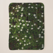Flores blancas de primavera en el bosque