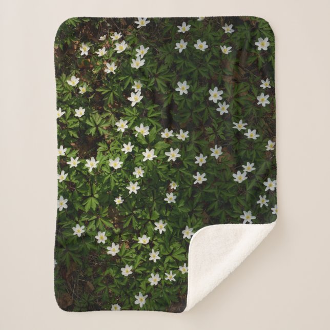 Manta Sherpa Flores blancas de primavera en el bosque (Anverso)