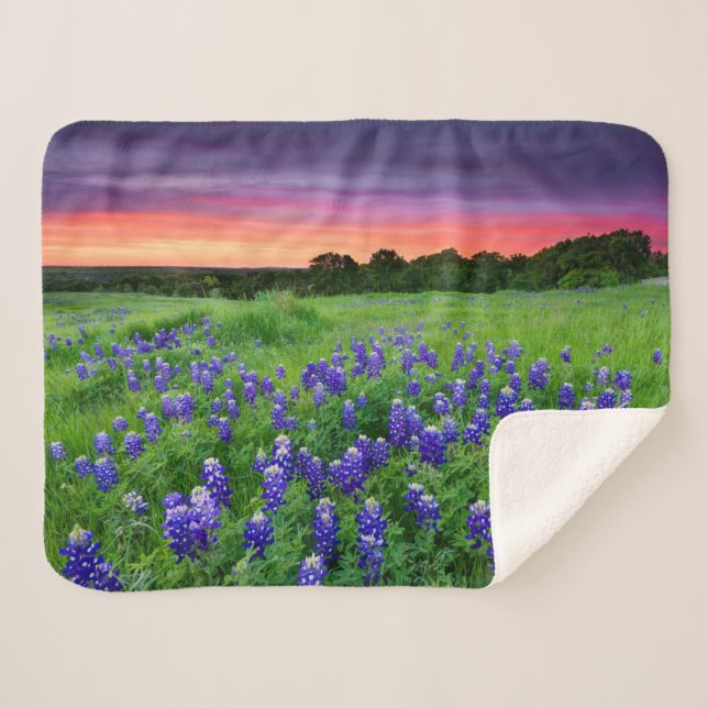 Manta Sherpa Flores | Bluebonnets en Sunset Texas (Anverso (horizontal))