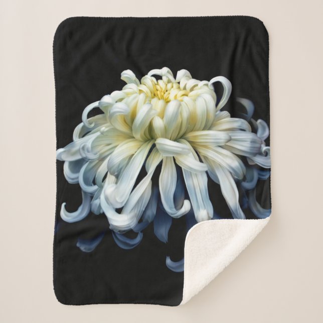 Manta Sherpa Flores | Crisantemo blanco (Anverso)