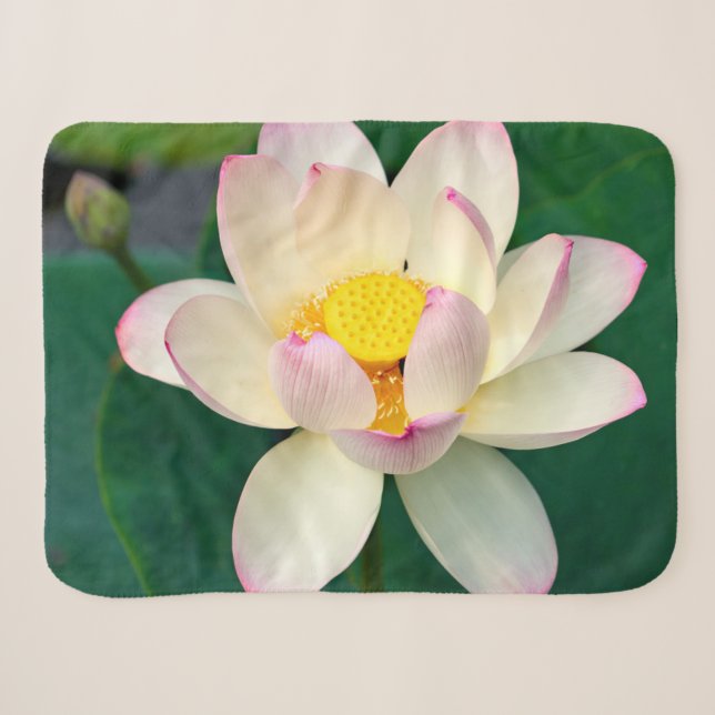 Manta Sherpa Flores | Flor de agua Lotus (Anverso (horizontal))