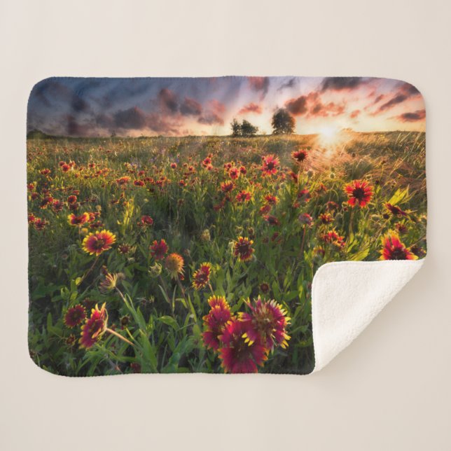 Manta Sherpa Flores | Indio Blanket Wildflower Texas (Anverso (horizontal))