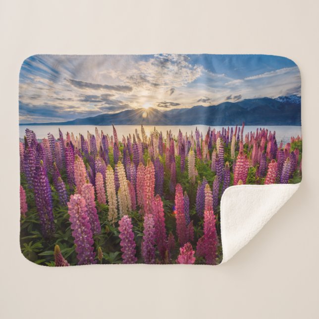 Manta Sherpa Flores | Lupines New Zealand (Anverso (horizontal))