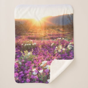 Manta Sherpa Flores silvestres al atardecer Desierto de Anza-