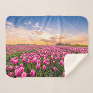 Manta Sherpa Flores   Tulips, Holanda del Sur, Países Bajos