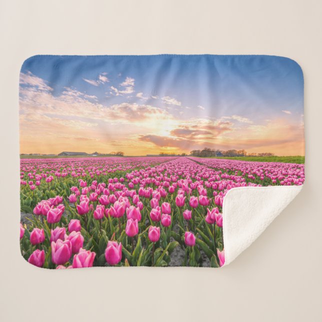 Manta Sherpa Flores | Tulips, Holanda del Sur, Países Bajos (Anverso (horizontal))