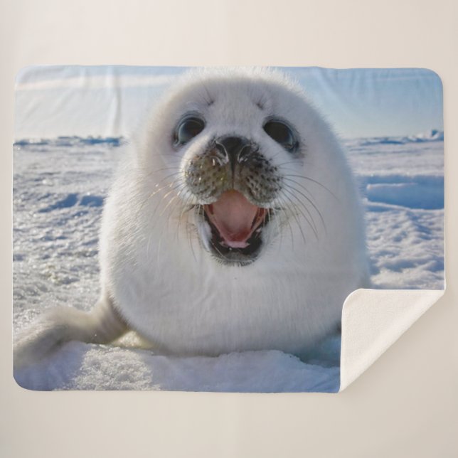 Manta Sherpa Foca de Groenlandia del bebé (Anverso (horizontal))