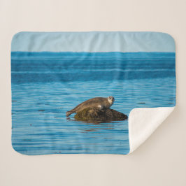 Manta Sherpa Foca de puerto Atlántico
