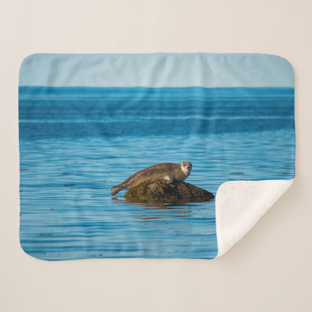 Manta Sherpa Foca de puerto Atlántico (Anverso (horizontal))