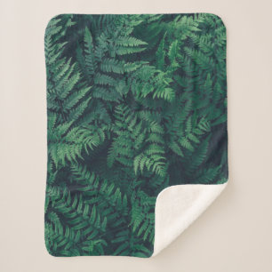 Manta Sherpa Forests   Woodland Ferns
