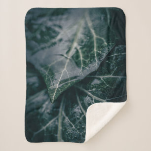 Manta Sherpa Foto de Ivy Nature