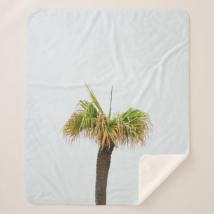 Manta Sherpa Foto de palmera marrón y verde