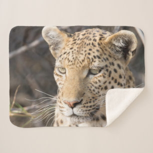 Manta Sherpa Foto de retrato de leopardo