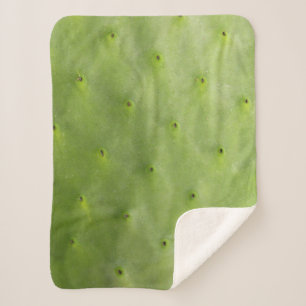 Manta Sherpa Foto verde botánica tropical del cactus