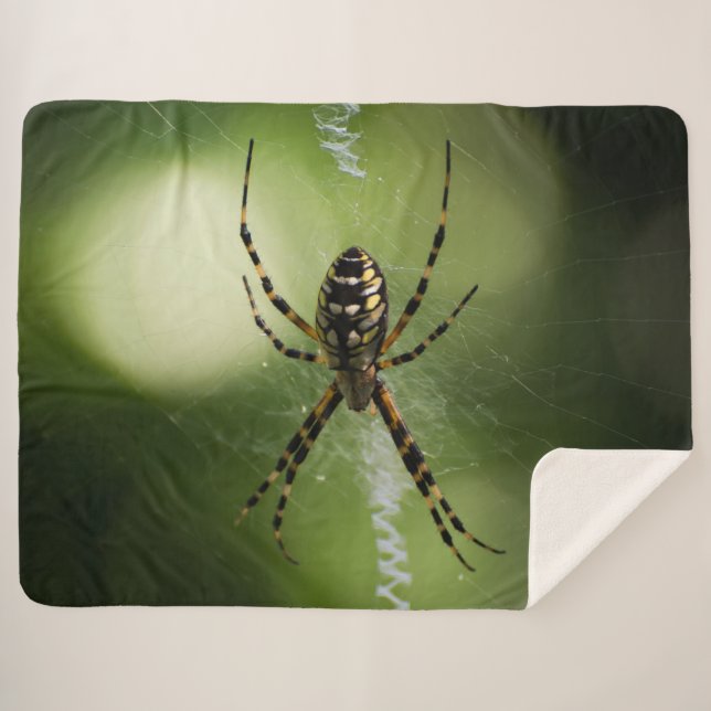 Manta Sherpa Fotografía de araña de jardín dorado (Anverso (horizontal))