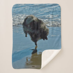 Manta Sherpa Fotografía del Ballet Keeshond - Arte de Perro Ori