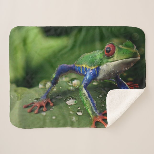 MANTA SHERPA FRONTERA COLORIDA (Anverso (horizontal))