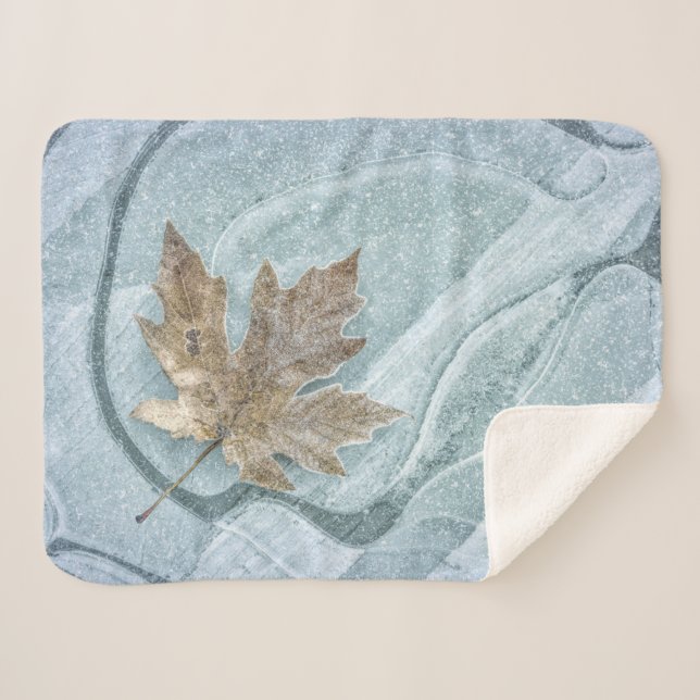 Manta Sherpa Frosty Maple Leaf Frozen en hielo (Anverso (horizontal))
