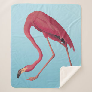 Manta Sherpa Funda de Fleece Art Flamingo Rosa Americano
