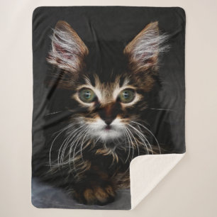 Manta Sherpa Gatito