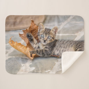 Manta Sherpa Gatito de Tabby lindo jugando con una hoja -