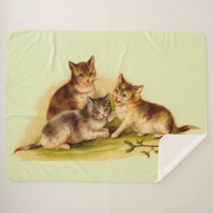 Manta Sherpa gatitos victorianos