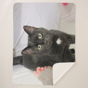 Manta Sherpa Gato
