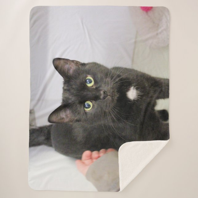 Manta Sherpa Gato (Anverso)