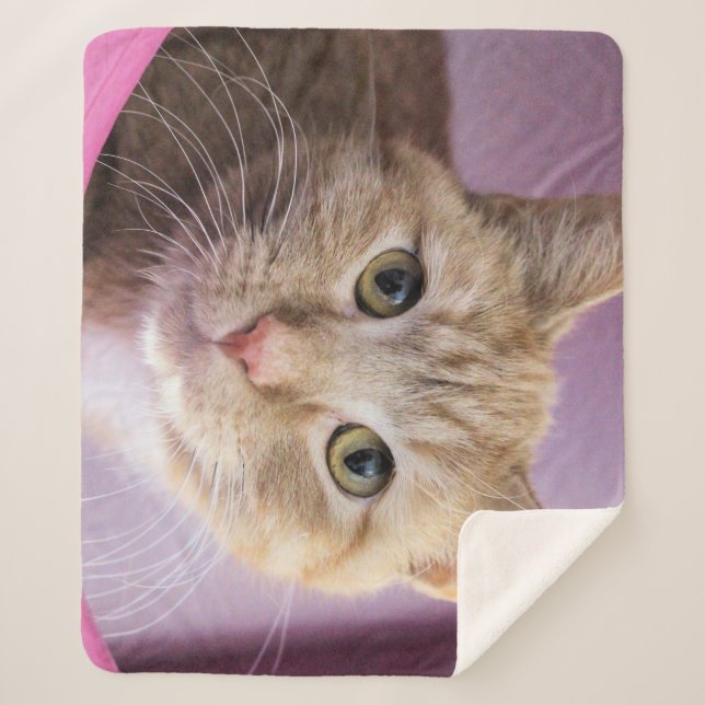 Manta Sherpa Gato (Anverso)