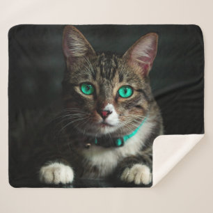 Manta Sherpa Gato