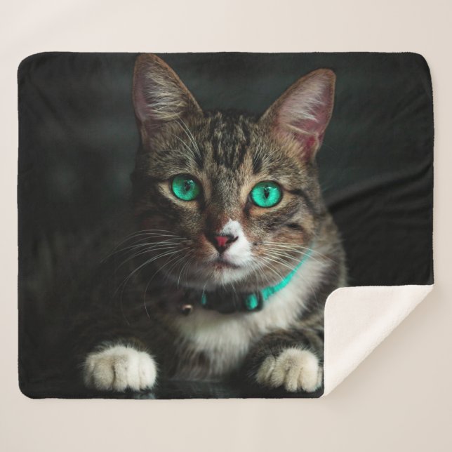Manta Sherpa Gato (Anverso (horizontal))