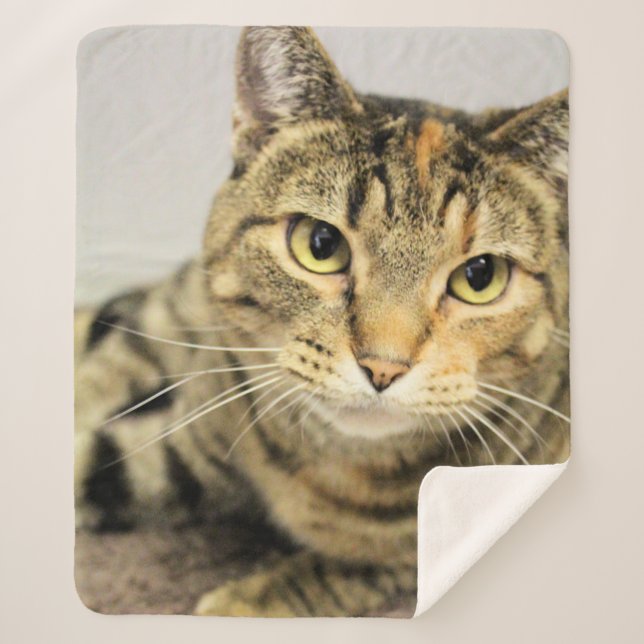 Manta Sherpa Gato (Anverso)