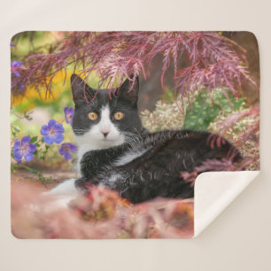 Manta Sherpa Gato blanco-negro lindo descansando bajo un árbol 