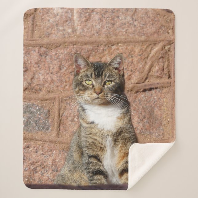 Manta Sherpa Gato de iglesia (Anverso)