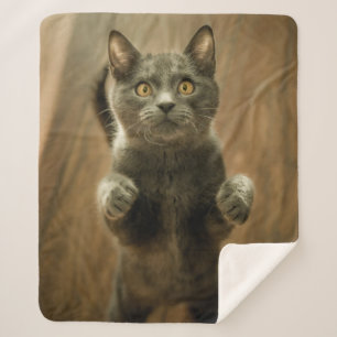 MANTA SHERPA GATO GRIS EN DOS PIES