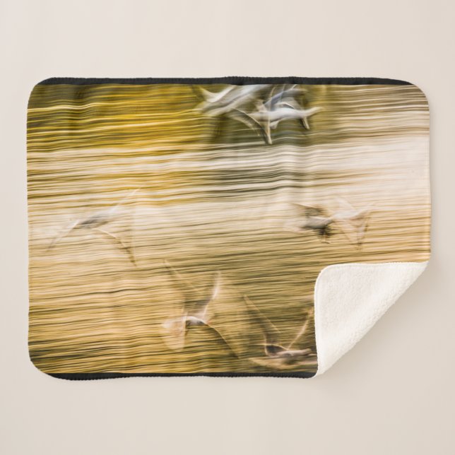 Manta Sherpa Gaviotas voladoras - abstractas (Anverso (horizontal))