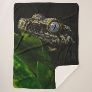 MANTA SHERPA GECKO