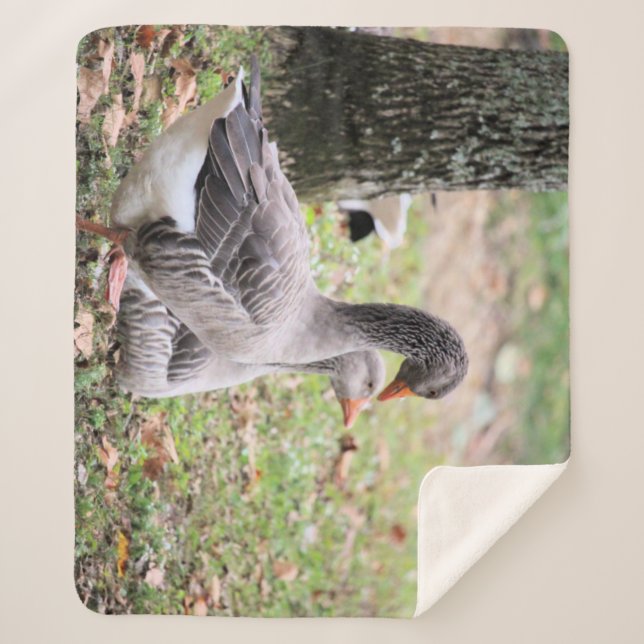 Manta Sherpa Geese (Anverso)