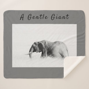Manta Sherpa Gentle Giant Elephant high key photo with text