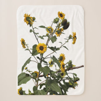 Manta Sherpa Girasol Amarillo Vibrante